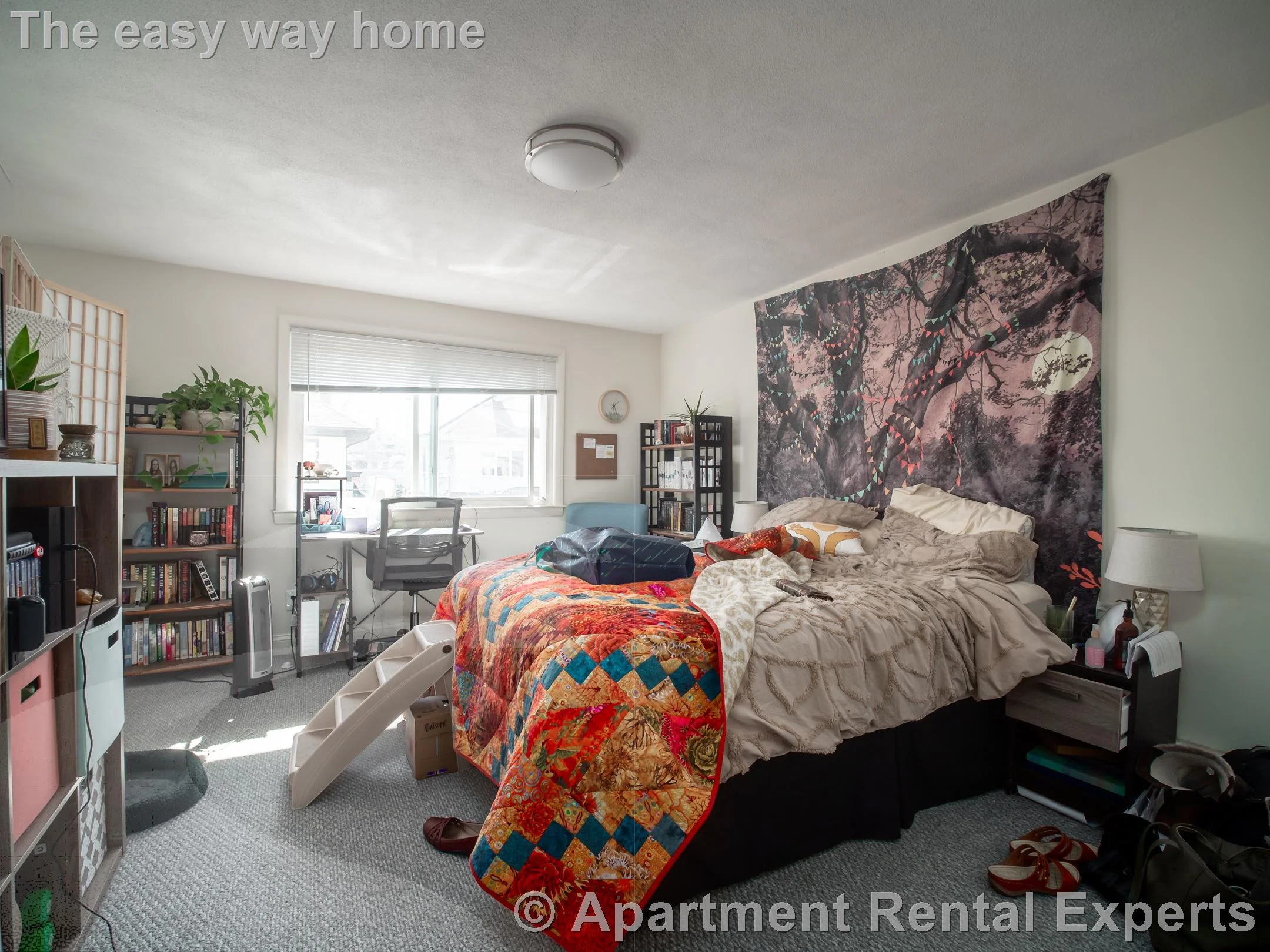 4 bed, 2 bath apartment for rent at 99 2nd St Unit 2, Wellington — photo 5 of 28