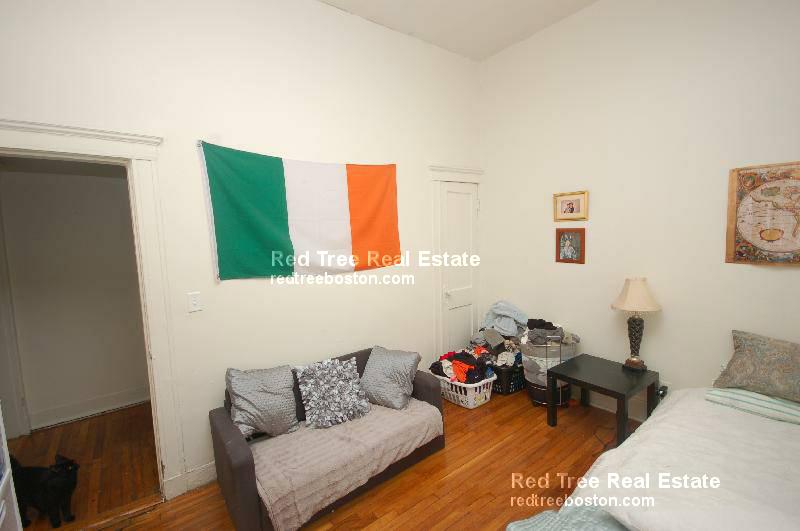 1 bed, 1 bath apartment for rent at 99 Brainerd Rd Unit 22, Allston — photo 2 of 11