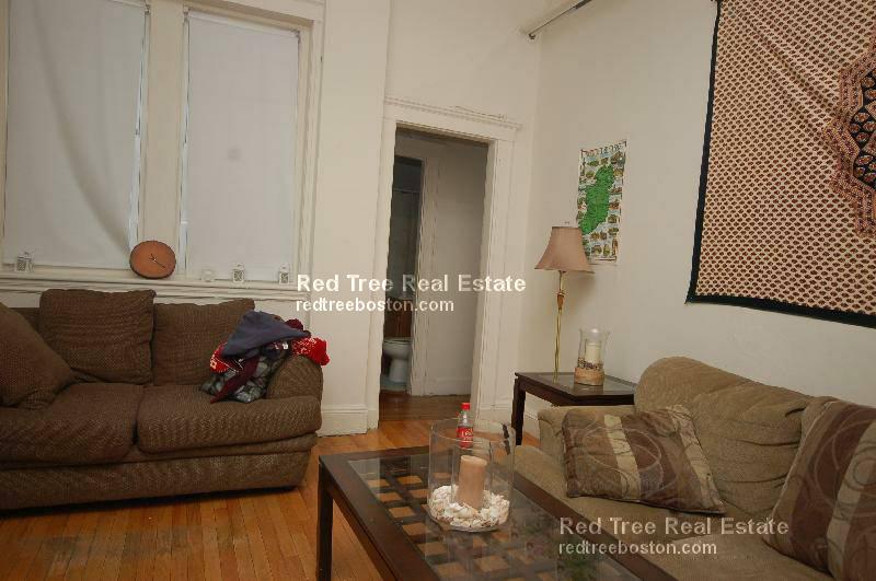 1 bed, 1 bath apartment for rent at 99 Brainerd Rd Unit 22, Allston — photo 5 of 11