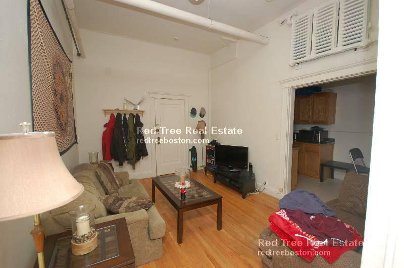 1 bed, 1 bath apartment for rent at 99 Brainerd Rd Unit 22, Allston — photo 4 of 11