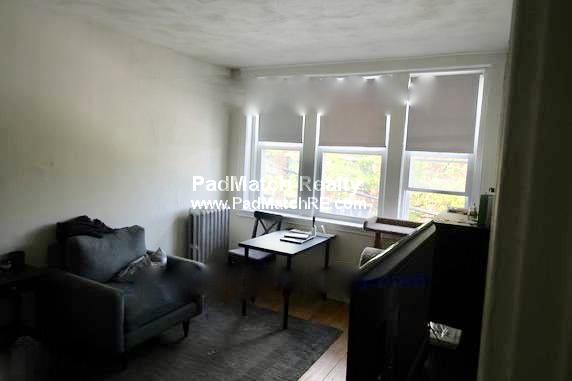 Studio bed, 1 bath apartment for rent at 99 Brainerd Rd Unit 3, Allston — photo 2 of 8