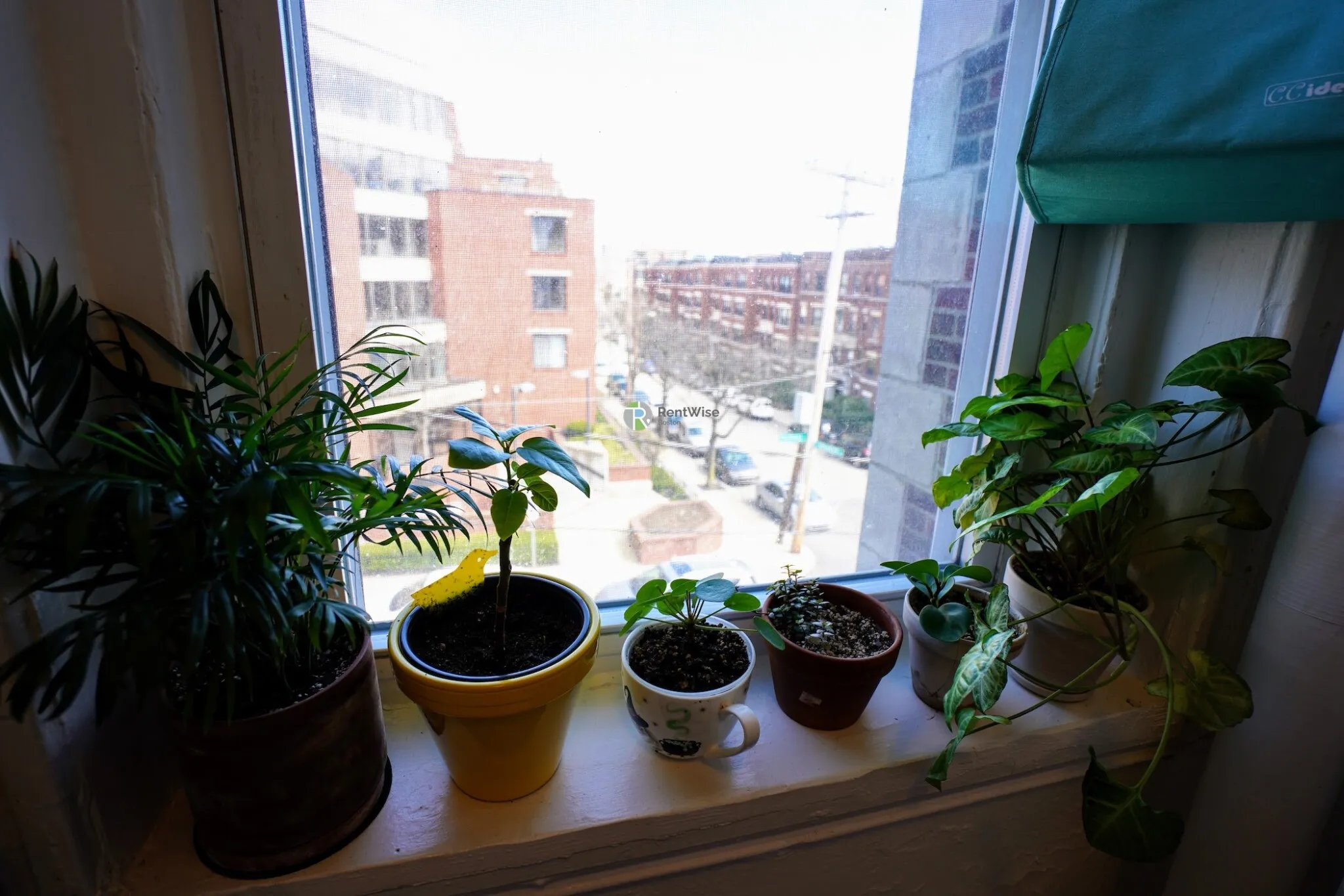 Studio bed, 1 bath apartment for rent at 99 Brainerd Rd Unit 9, Allston — photo 9 of 16