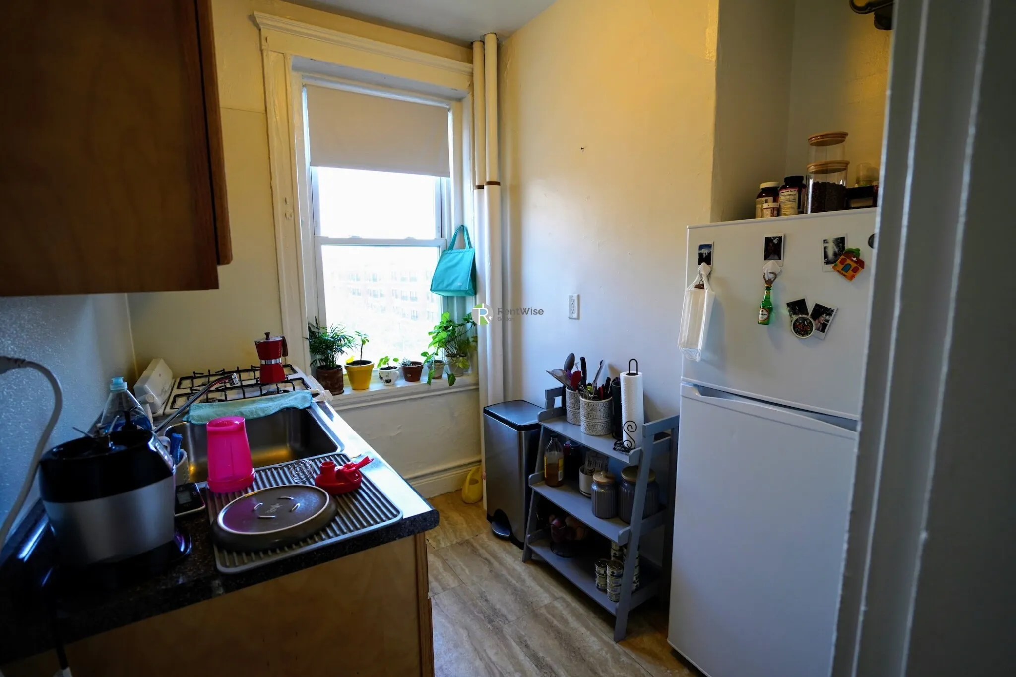 Studio bed, 1 bath apartment for rent at 99 Brainerd Rd Unit 9, Allston — photo 6 of 16