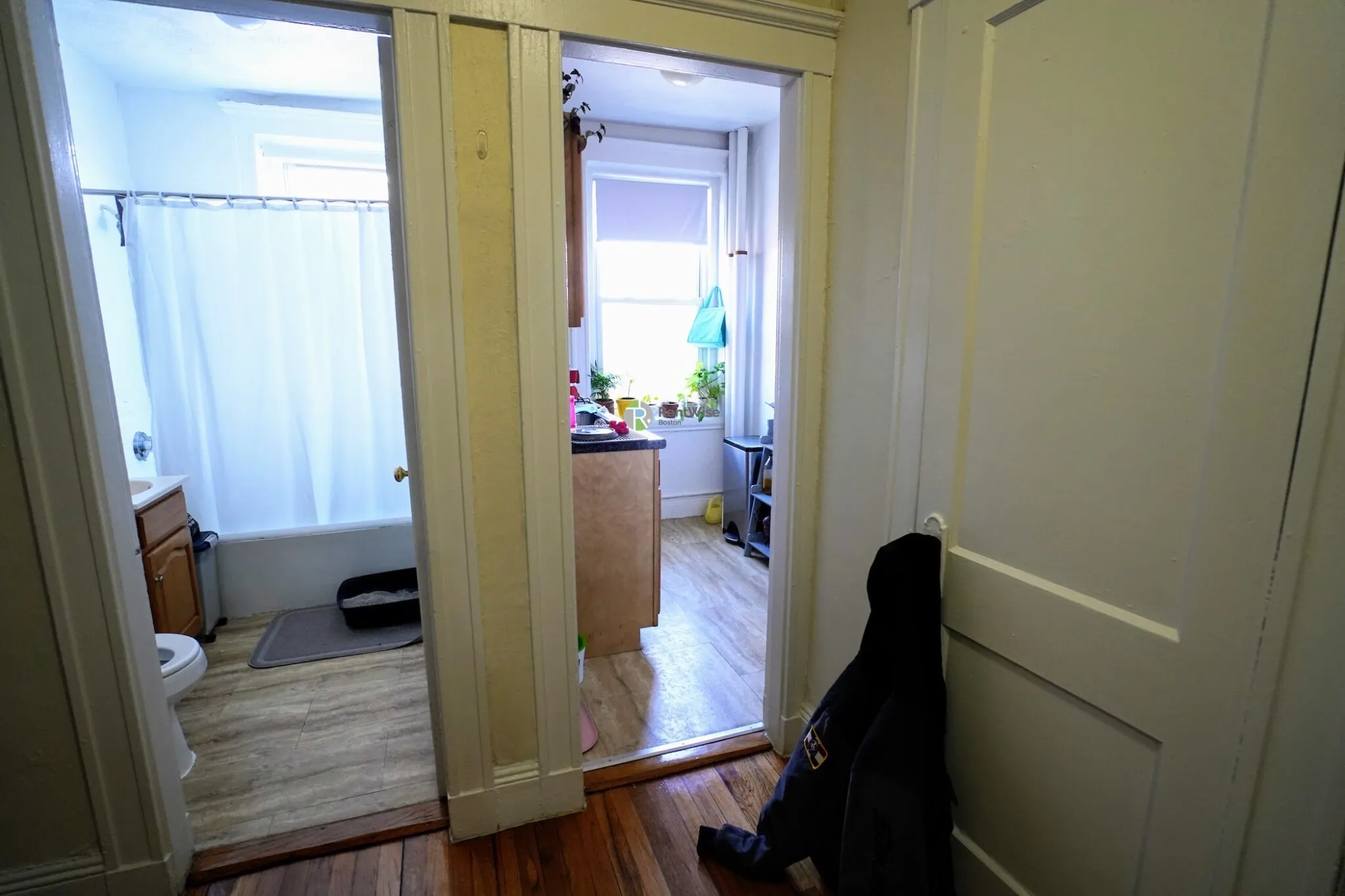 Studio bed, 1 bath apartment for rent at 99 Brainerd Rd Unit 9, Allston — photo 5 of 16