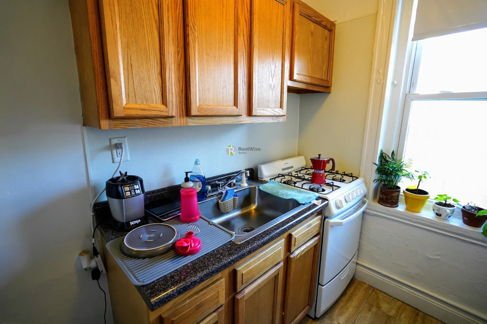 Studio bed, 1 bath apartment for rent at 99 Brainerd Rd Unit 9, Allston — photo 8 of 16