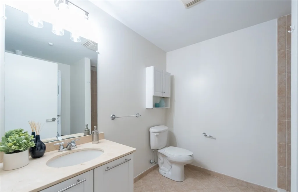 2 bed, 2 bath apartment for rent at 99 Chestnut Hill Ave Unit 101, Brighton — photo 10 of 18