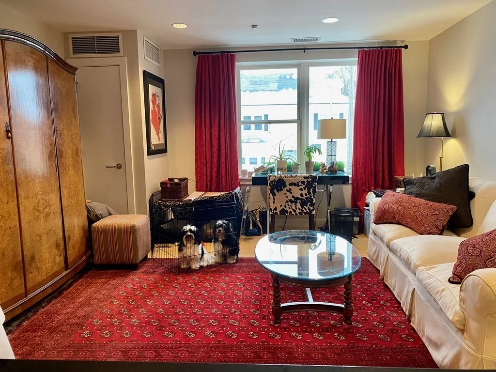 2 bed, 2 bath apartment for rent at 99 Chestnut Hill Ave Unit 202, Brighton — photo 8 of 31
