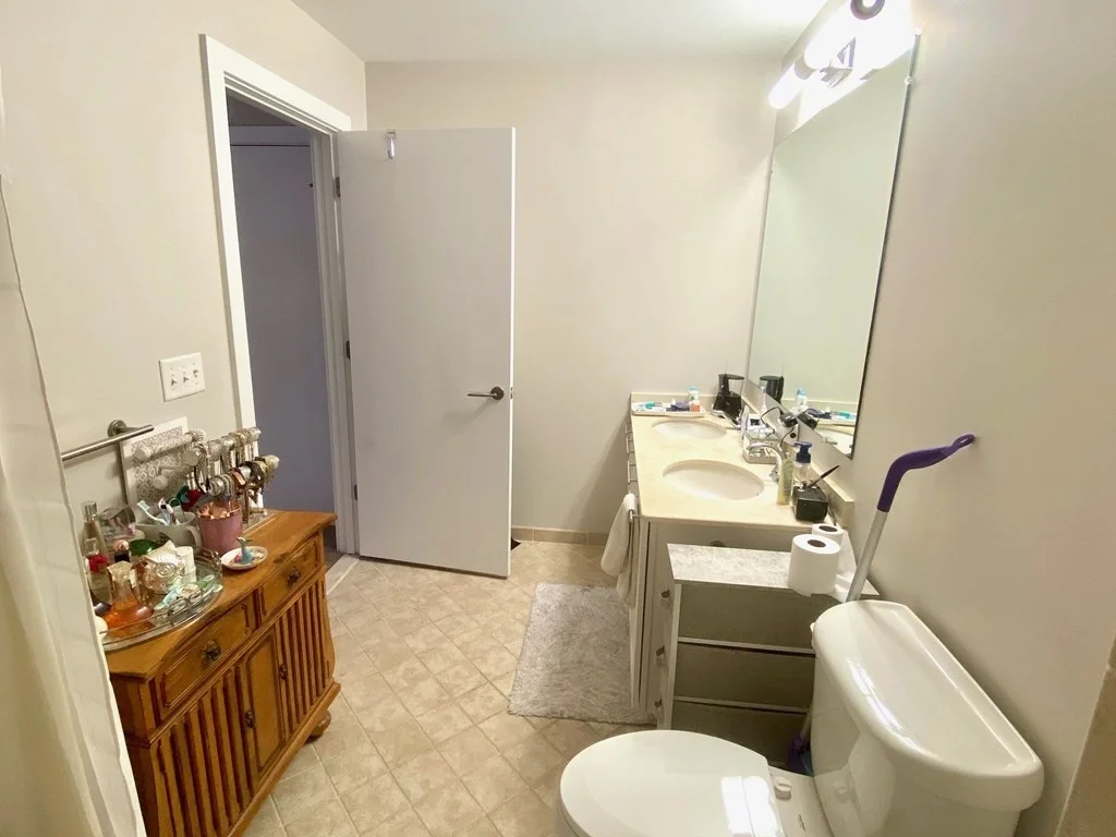 2 bed, 2 bath apartment for rent at 99 Chestnut Hill Ave Unit 202, Brighton — photo 18 of 31