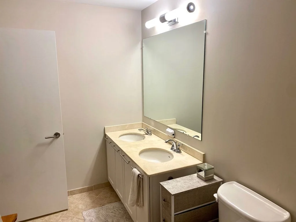 2 bed, 2 bath apartment for rent at 99 Chestnut Hill Ave Unit 202, Brighton — photo 16 of 31