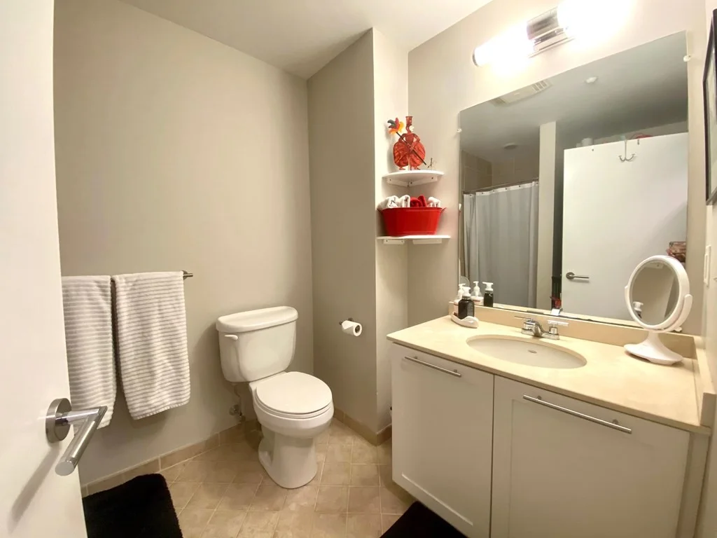 2 bed, 2 bath apartment for rent at 99 Chestnut Hill Ave Unit 202, Brighton — photo 20 of 31