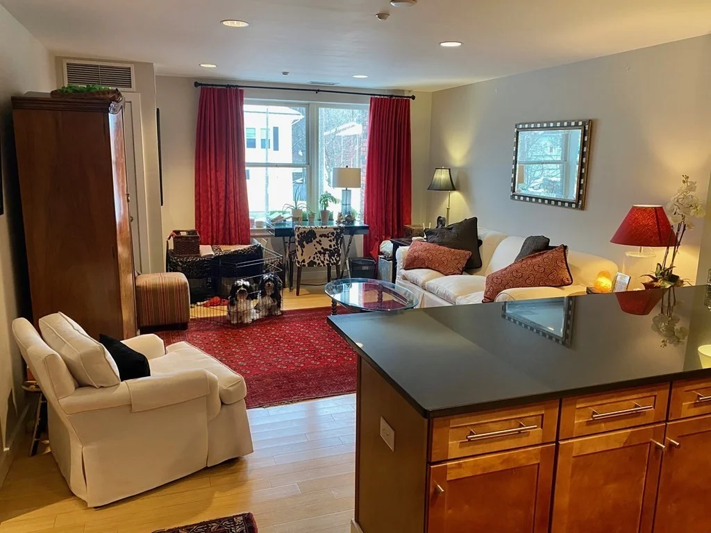 2 bed, 2 bath apartment for rent at 99 Chestnut Hill Ave Unit 202, Brighton — photo 5 of 31