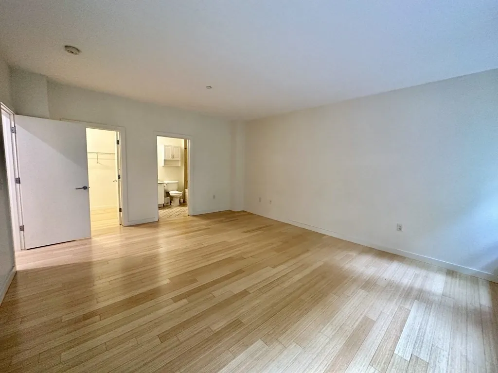2 bed, 2 bath apartment for rent at 99 Chestnut Hill Ave Unit 316, Brighton — photo 26 of 42
