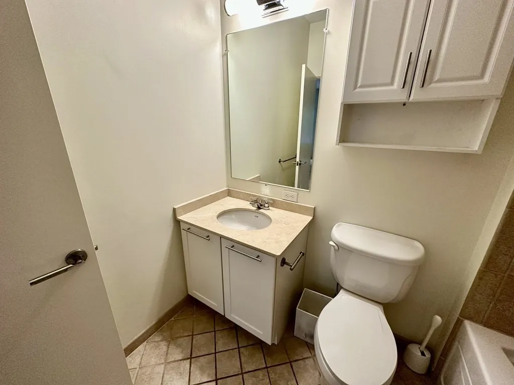 2 bed, 2 bath apartment for rent at 99 Chestnut Hill Ave Unit 316, Brighton — photo 36 of 42