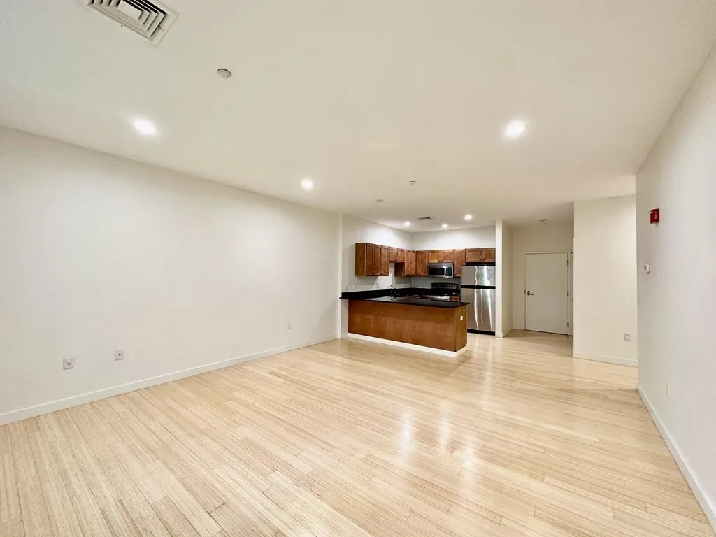 2 bed, 2 bath apartment for rent at 99 Chestnut Hill Ave Unit 316, Brighton — photo 22 of 42