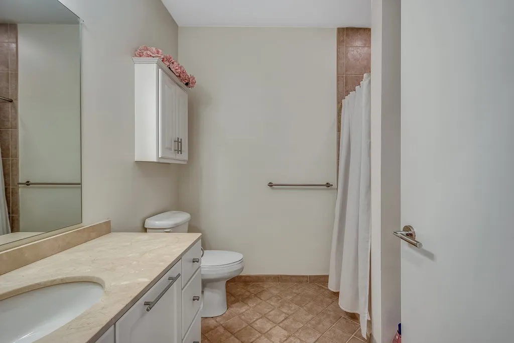 2 bed, 2 bath apartment for rent at 99 Chestnut Hill Ave Unit 316, Brighton — photo 14 of 42