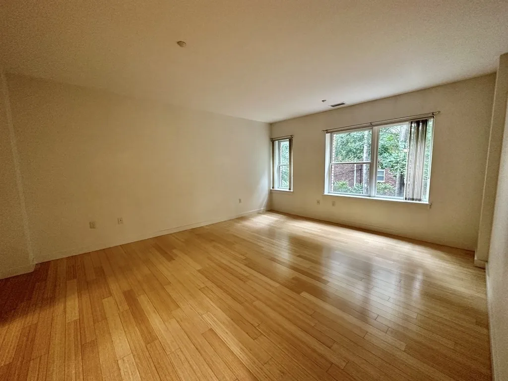 2 bed, 2 bath apartment for rent at 99 Chestnut Hill Ave Unit 316, Brighton — photo 29 of 42