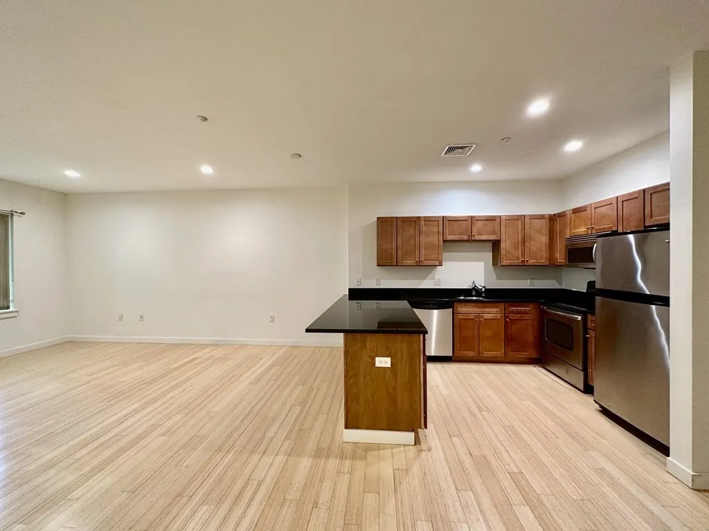 2 bed, 2 bath apartment for rent at 99 Chestnut Hill Ave Unit 316, Brighton — photo 18 of 42