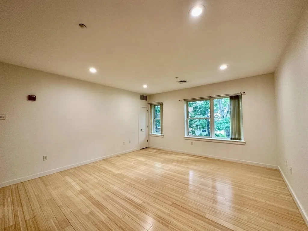 2 bed, 2 bath apartment for rent at 99 Chestnut Hill Ave Unit 316, Brighton — photo 25 of 42