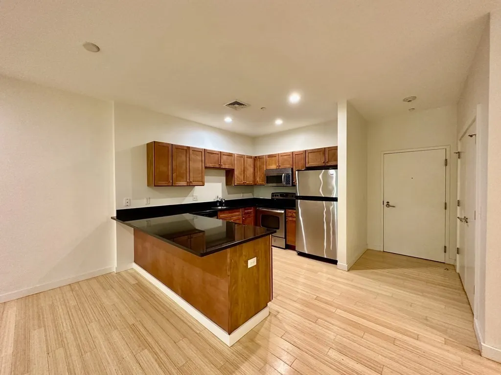 2 bed, 2 bath apartment for rent at 99 Chestnut Hill Ave Unit 316, Brighton — photo 19 of 42