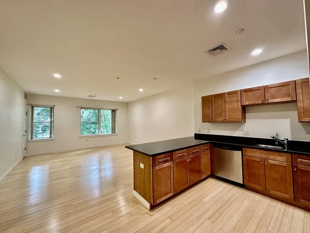 2 bed, 2 bath apartment for rent at 99 Chestnut Hill Ave Unit 316, Brighton — photo 24 of 42