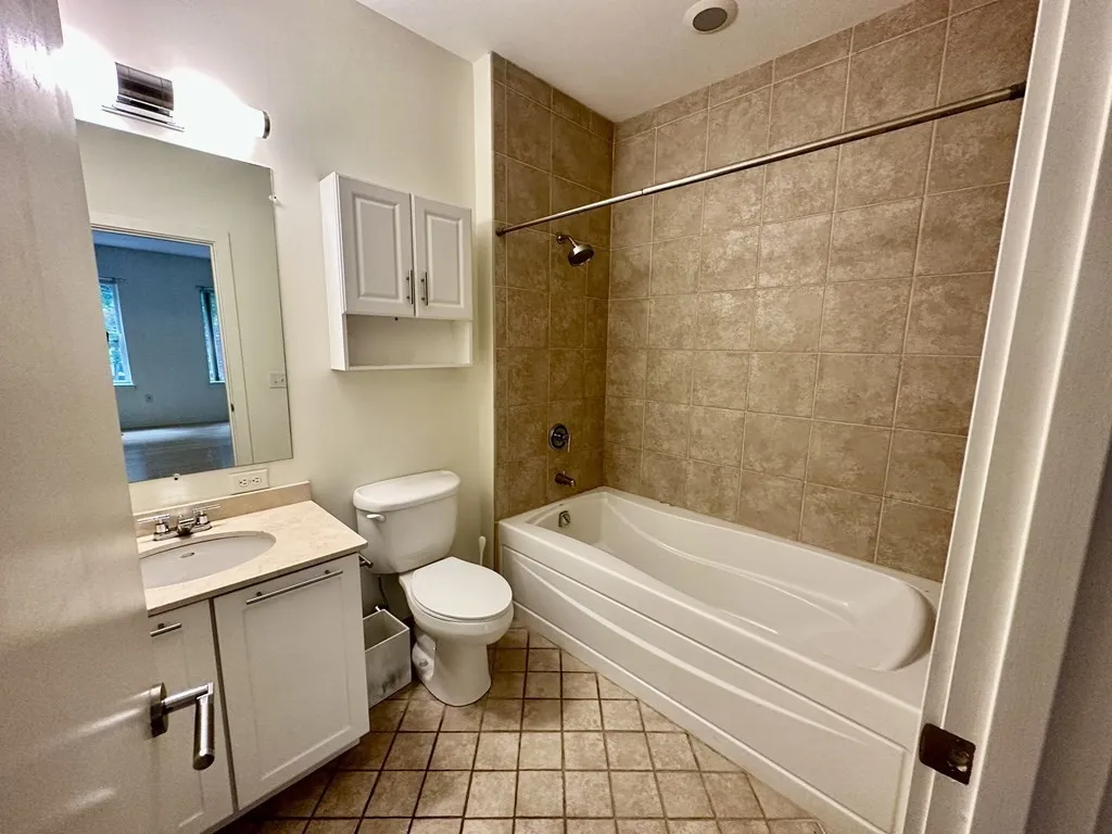 2 bed, 2 bath apartment for rent at 99 Chestnut Hill Ave Unit 316, Brighton — photo 34 of 42