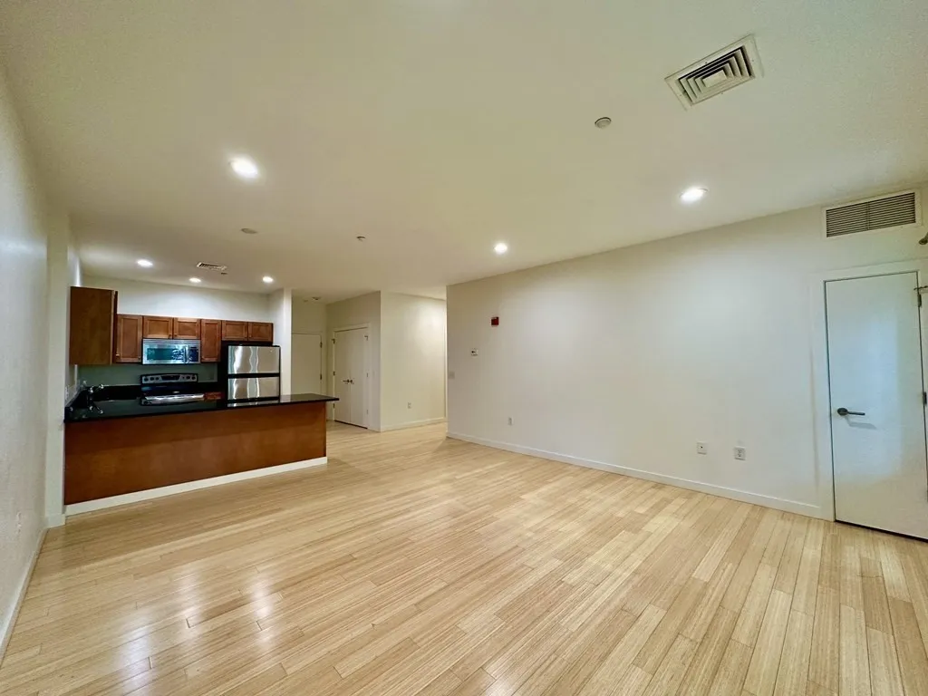 2 bed, 2 bath apartment for rent at 99 Chestnut Hill Ave Unit 316, Brighton — photo 23 of 42