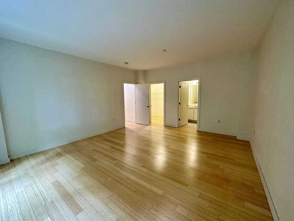 2 bed, 2 bath apartment for rent at 99 Chestnut Hill Ave Unit 316, Brighton — photo 28 of 42
