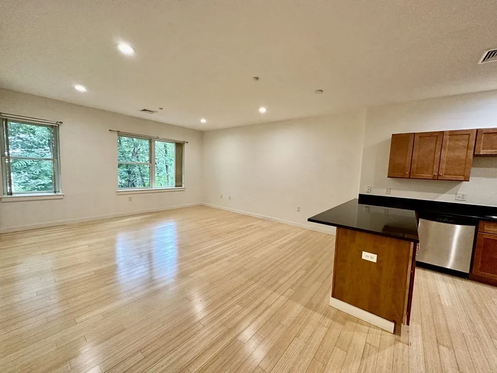 2 bed, 2 bath apartment for rent at 99 Chestnut Hill Ave Unit 316, Brighton — photo 20 of 42