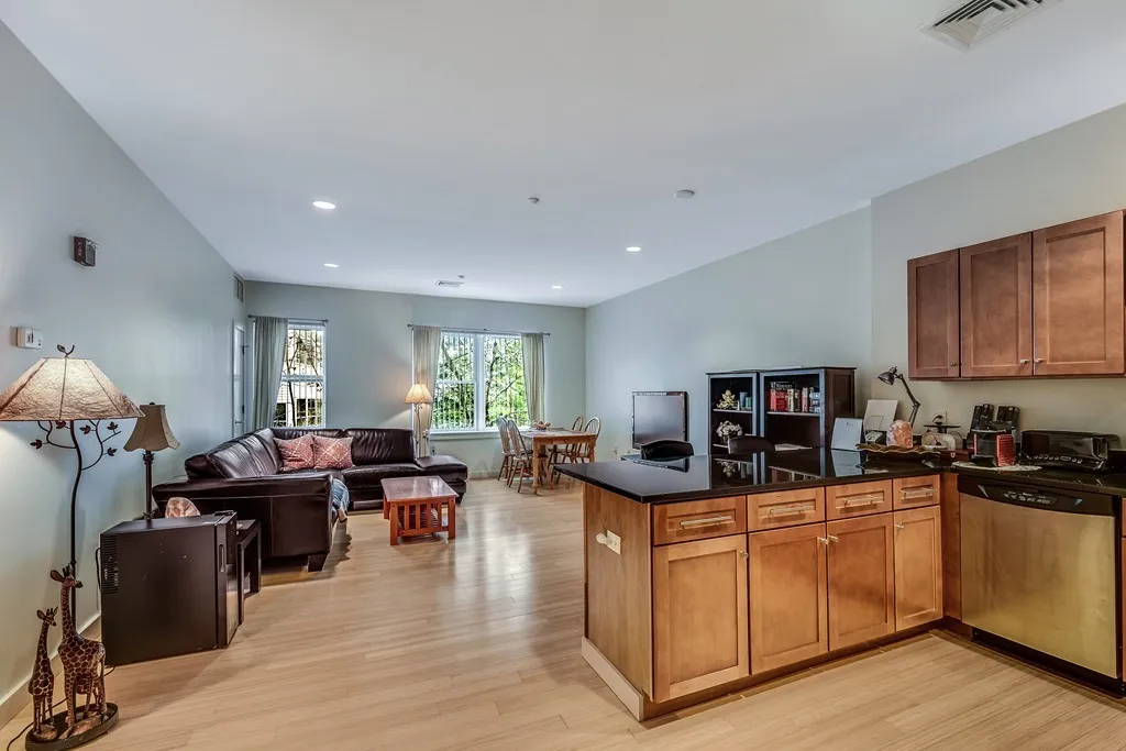 2 bed, 2 bath apartment for rent at 99 Chestnut Hill Ave Unit 316, Brighton — photo 3 of 42