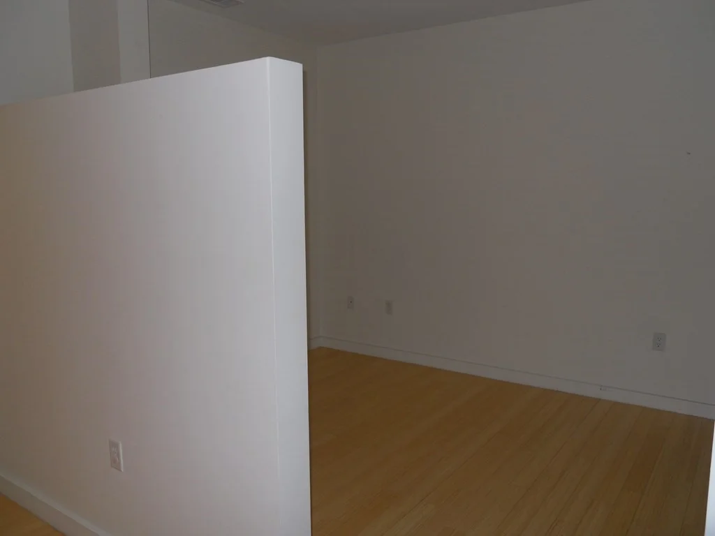 2 bed, 2 bath apartment for rent at 99 Chestnut Hill Ave Unit 317, Brighton — photo 7 of 13