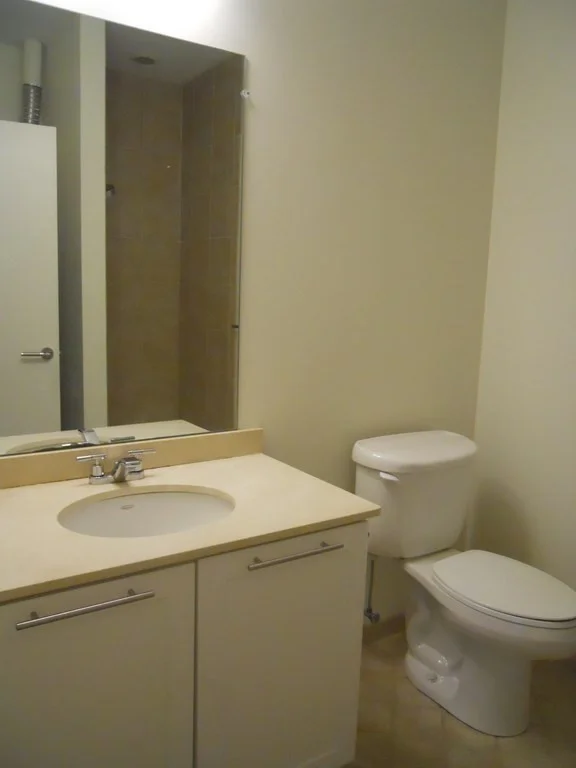 2 bed, 2 bath apartment for rent at 99 Chestnut Hill Ave Unit 317, Brighton — photo 11 of 13