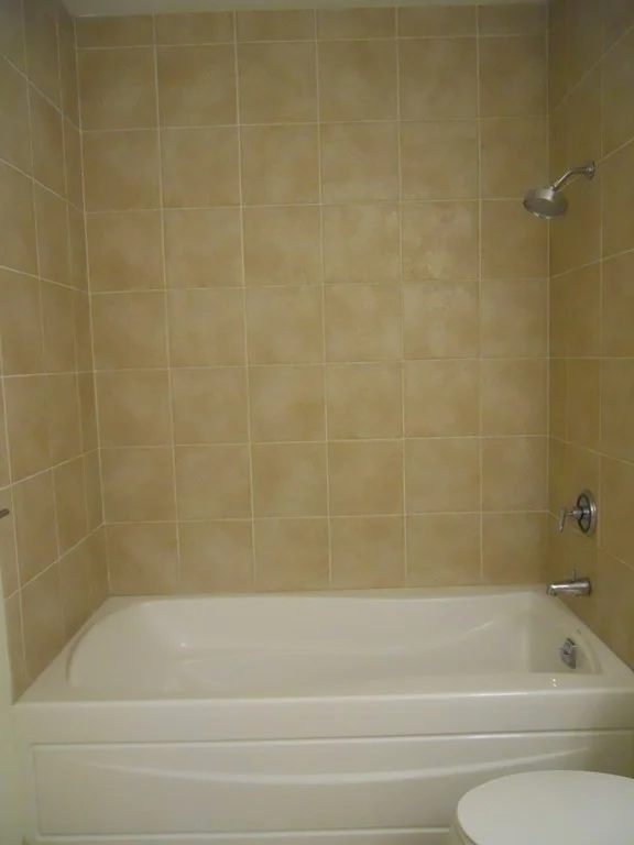 2 bed, 2 bath apartment for rent at 99 Chestnut Hill Ave Unit 317, Brighton — photo 10 of 13