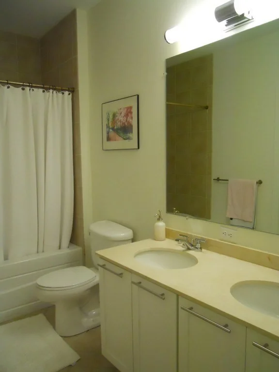 2 bed, 2 bath apartment for rent at 99 Chestnut Hill Ave Unit 317, Brighton — photo 9 of 13