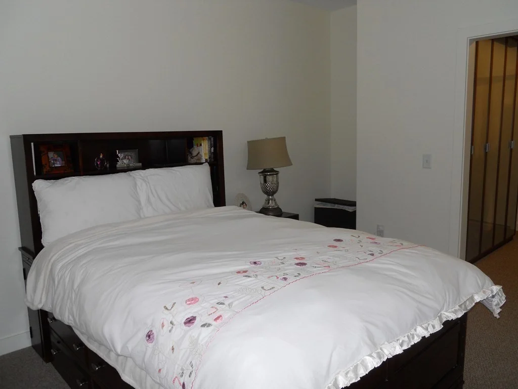 2 bed, 2 bath apartment for rent at 99 Chestnut Hill Ave Unit 317, Brighton — photo 6 of 13