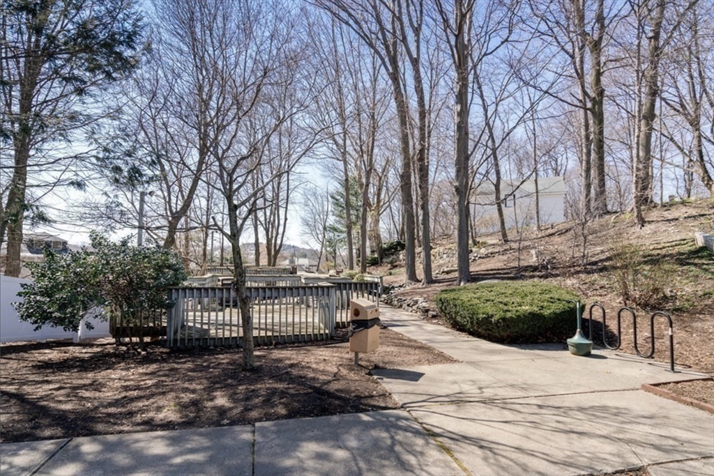 2 bed, 2 bath apartment for rent at 99 Chestnut Hill Ave Unit 321, Brighton — photo 15 of 15