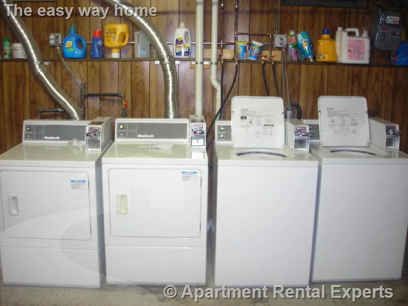 Studio bed, 1 bath apartment for rent at 99 Hancock St Unit B2, Central Square — photo 6 of 6