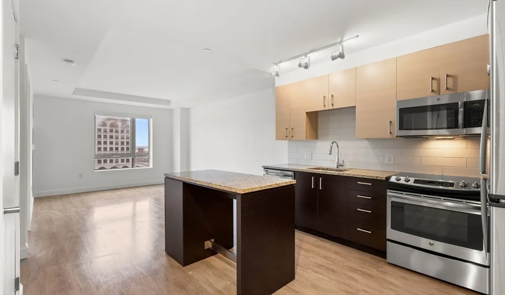 1 bed, 1 bath apartment for rent at 99 Kneeland St Unit 1014, Chinatown — photo 5 of 16