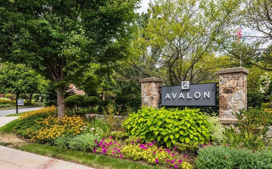 1 bed, 1 bath apartment for rent at 99 Needham St Unit 2153, Newton Highlands