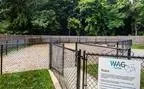 1 bed, 1 bath apartment for rent at 99 Needham St Unit 2153, Newton Highlands — photo 5 of 16