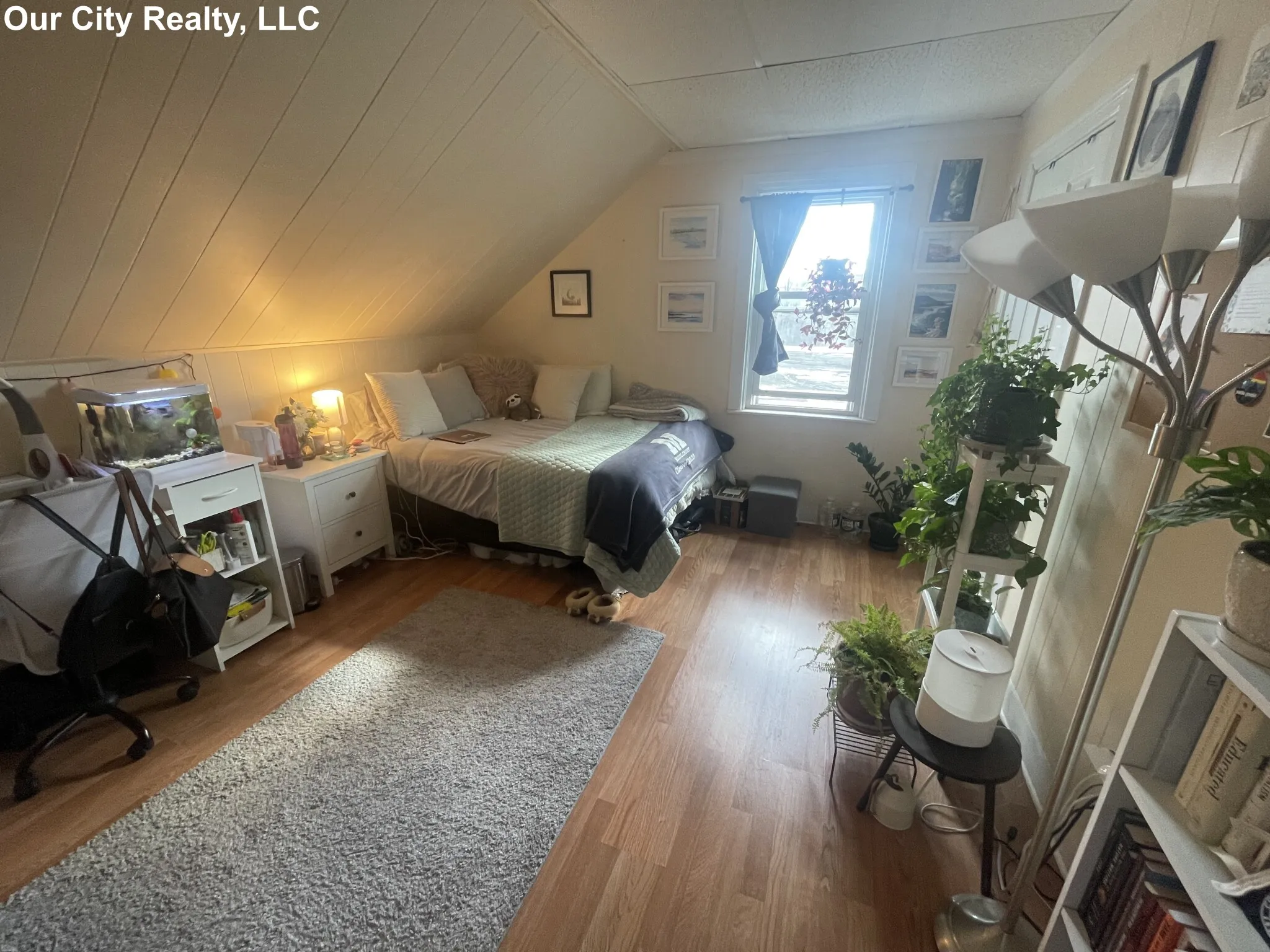 4 bed, 2 bath apartment for rent at 99 Norfolk St Unit 3, The Port — photo 16 of 24