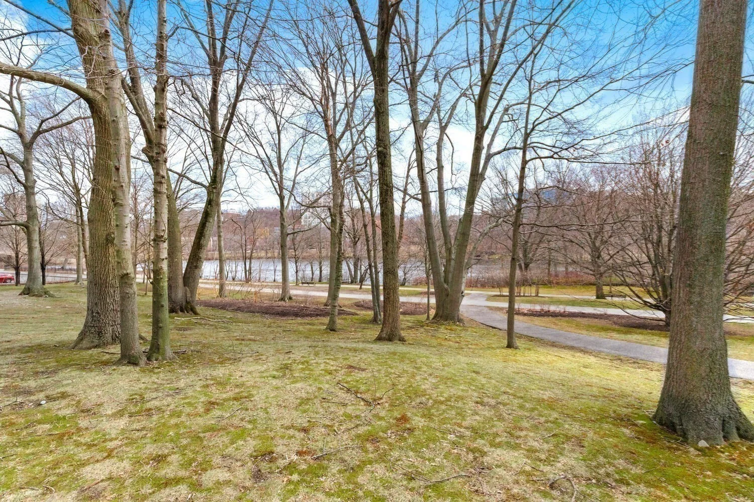 3 bed, 2 bath apartment for rent at 99 Pond Ave Unit 417, Brookline Village — photo 11 of 23