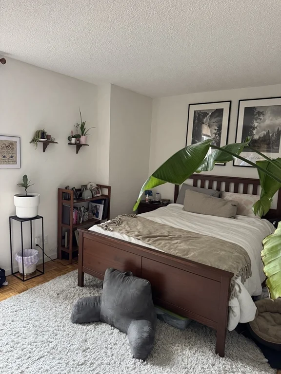 1 bed, 1 bath apartment for rent at 99 Pond Ave Unit 509, Brookline Village — photo 3 of 17