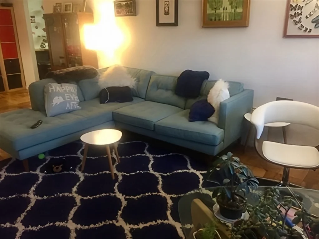 1 bed, 1 bath apartment for rent at 99 Pond Ave Unit 509, Brookline Village — photo 2 of 17