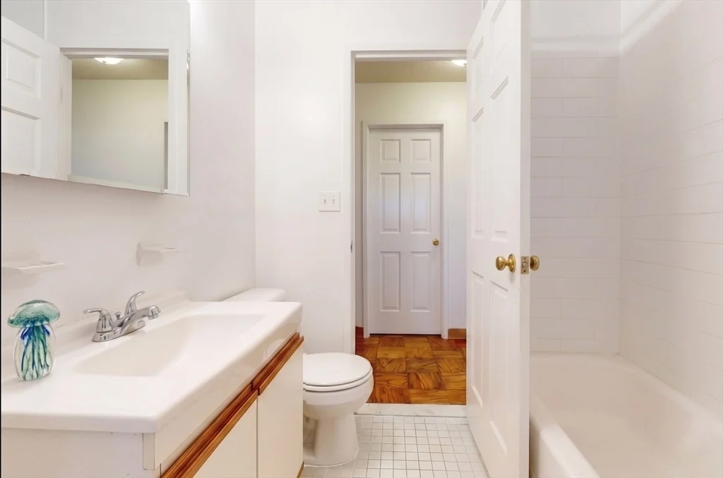 1 bed, 1 bath apartment for rent at 99 Pond Ave Unit 514, Brookline Village — photo 4 of 22