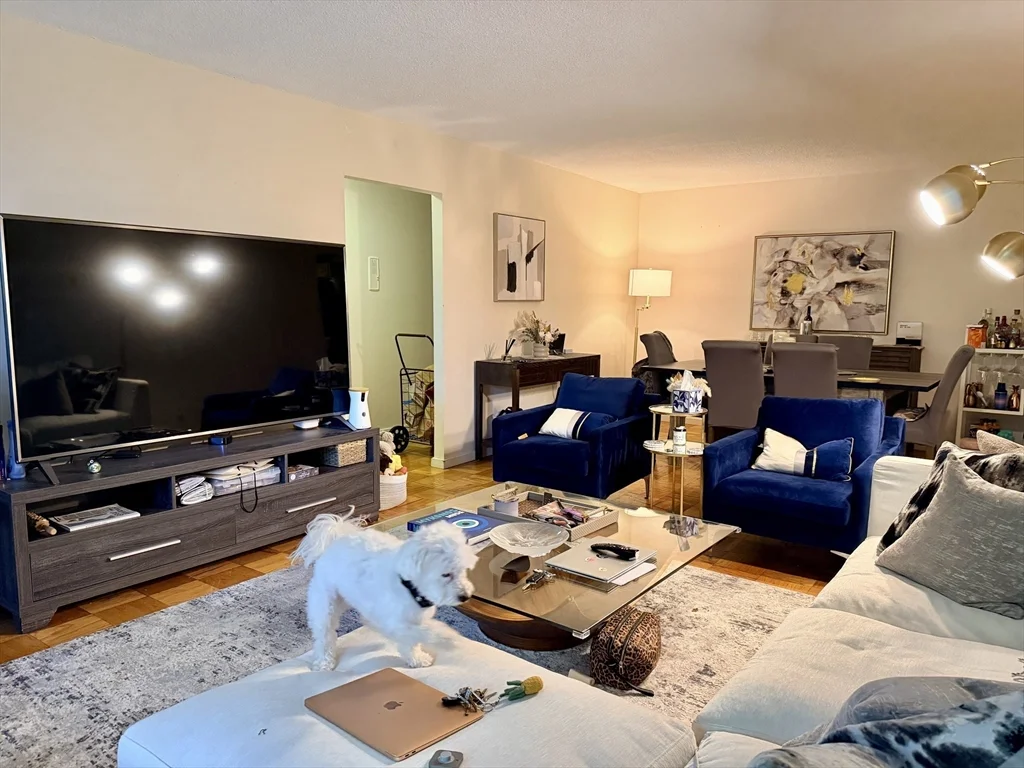 1 bed, 1 bath apartment for rent at 99 Pond Ave Unit 609, Brookline Village — photo 2 of 11