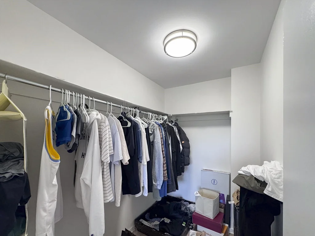 2 bed, 2 bath apartment for rent at 99 Pond Ave Unit 806, Brookline Village — photo 11 of 36