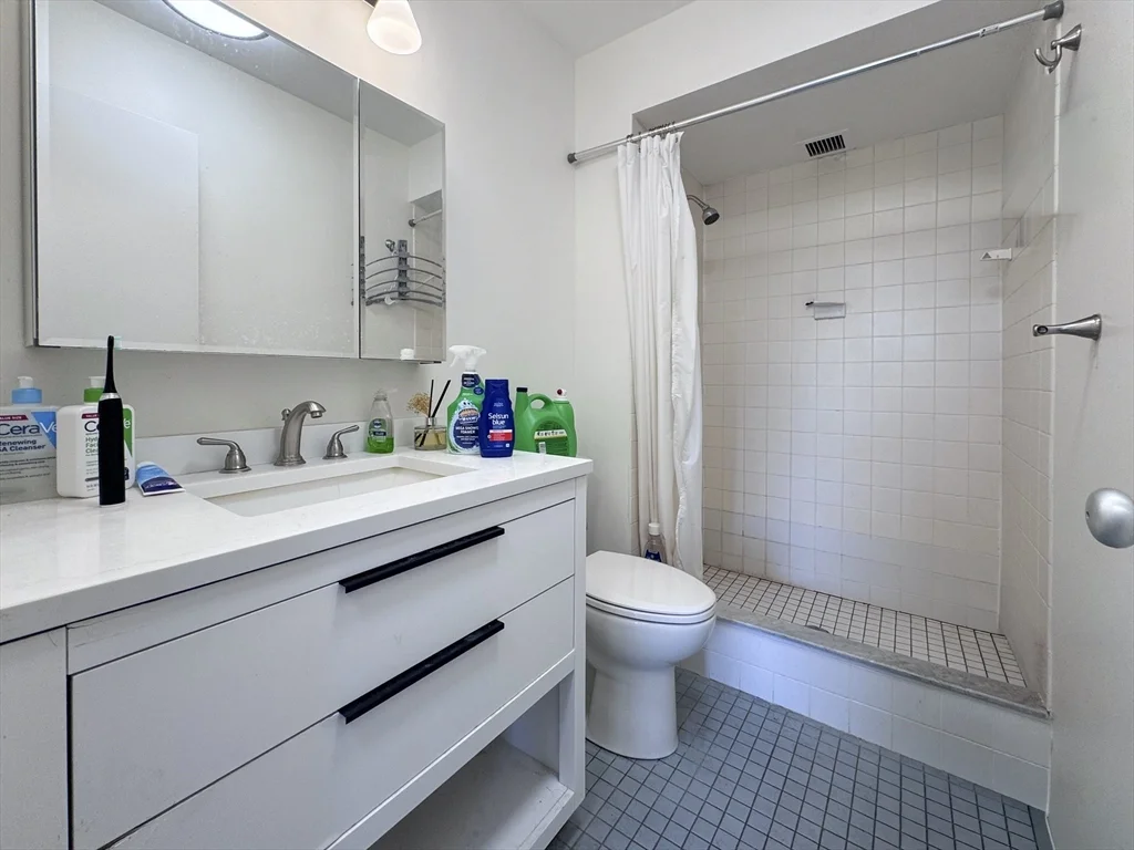 2 bed, 2 bath apartment for rent at 99 Pond Ave Unit 806, Brookline Village — photo 10 of 36