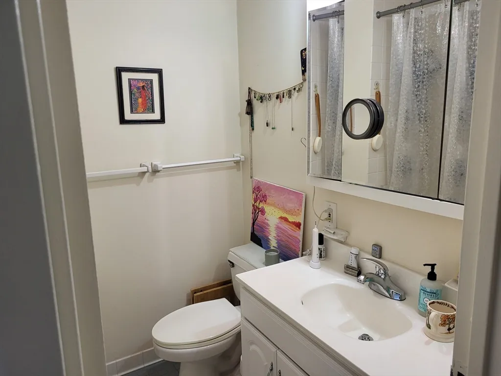 1 bed, 1 bath apartment for rent at 99 Pond Ave Unit 812, Brookline Village — photo 5 of 16