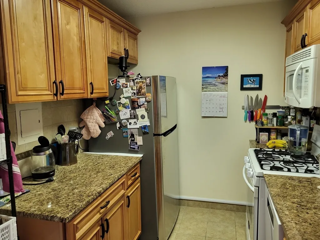 1 bed, 1 bath apartment for rent at 99 Pond Ave Unit 812, Brookline Village — photo 3 of 16