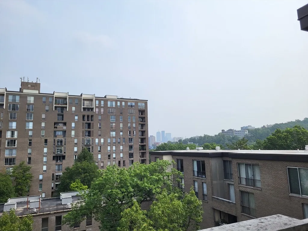 1 bed, 1 bath apartment for rent at 99 Pond Ave Unit 812, Brookline Village — photo 6 of 16